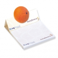 BLOCCO MEMO-STICK CON COPERTINA